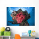 Soft Coral Colony Grows Wall Decal Design 8
