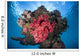 Soft Coral Colony Grows Wall Decal Design 8