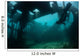 Bright Sunlight Pierces Shallow Wall Decal Design 2