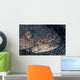 Reptilian Snake Eel Hides Wall Decal
