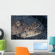 Reptilian Snake Eel Hides Wall Decal