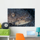 Reptilian Snake Eel Hides Wall Decal
