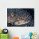 Reptilian Snake Eel Hides Wall Decal