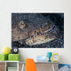 Reptilian Snake Eel Hides Wall Decal