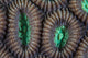 Detail Coral Polyps Reef Wall Decal