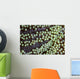 Transparent Shrimp Lives Sea Wall Decal