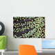 Transparent Shrimp Lives Sea Wall Decal