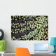 Transparent Shrimp Lives Sea Wall Decal