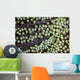 Transparent Shrimp Lives Sea Wall Decal