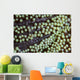 Transparent Shrimp Lives Sea Wall Decal