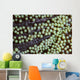 Transparent Shrimp Lives Sea Wall Decal