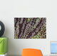 Detail Unidentified Anemone Growing Wall Decal
