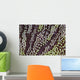 Detail Unidentified Anemone Growing Wall Decal