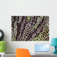 Detail Unidentified Anemone Growing Wall Decal