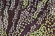 Detail Unidentified Anemone Growing Wall Decal