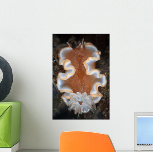 Nudibranch Crawls across Seafloor Wall Decal