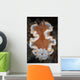 Nudibranch Crawls across Seafloor Wall Decal