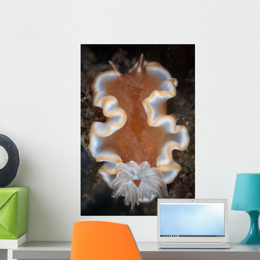 Nudibranch Crawls across Seafloor Wall Decal