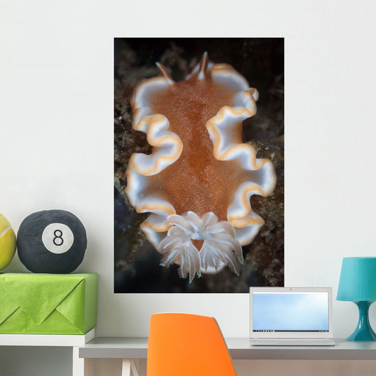 Nudibranch Crawls across Seafloor Wall Decal