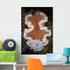 Nudibranch Crawls across Seafloor Wall Decal