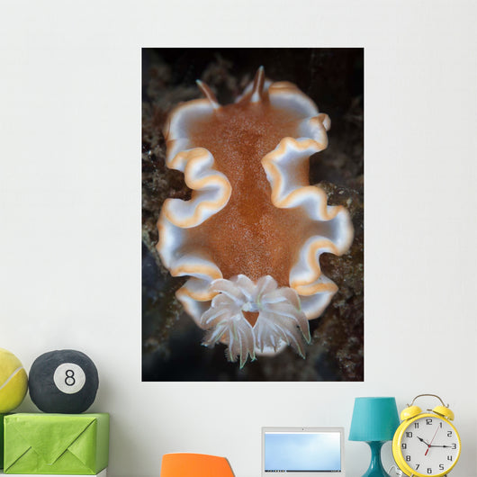 Nudibranch Crawls across Seafloor Wall Decal