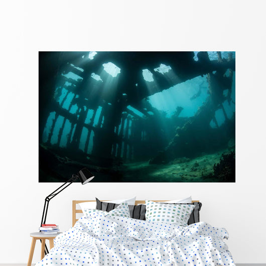 Bright Sunlight Pierces Shallow Wall Decal Design 1