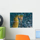 Thorny Seahorse Seafloor Lembeh Wall Decal Design 3