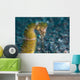 Thorny Seahorse Seafloor Lembeh Wall Decal Design 3