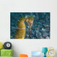 Thorny Seahorse Seafloor Lembeh Wall Decal Design 3