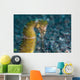 Thorny Seahorse Seafloor Lembeh Wall Decal Design 3