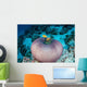 Pink Anemonefish Swim to Wall Decal Design 3