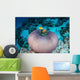 Pink Anemonefish Swim to Wall Decal Design 3