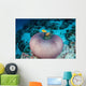 Pink Anemonefish Swim to Wall Decal Design 3