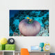 Pink Anemonefish Swim to Wall Decal Design 3