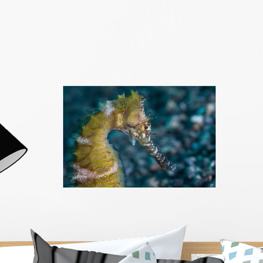 Thorny Seahorse Seafloor Lembeh Wall Decal Design 2