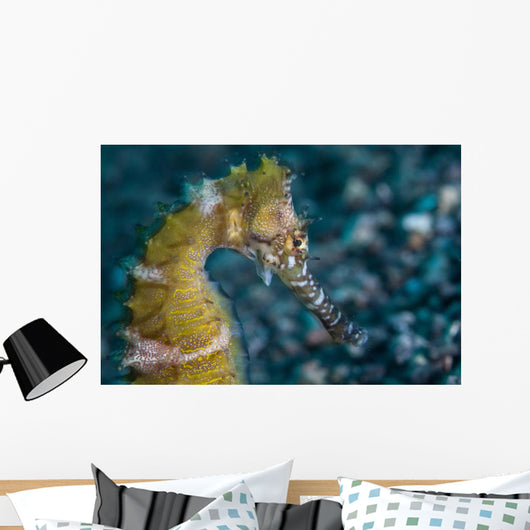 Thorny Seahorse Seafloor Lembeh Wall Decal Design 2