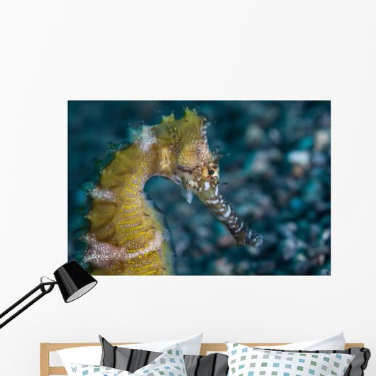 Thorny Seahorse Seafloor Lembeh Wall Decal Design 2
