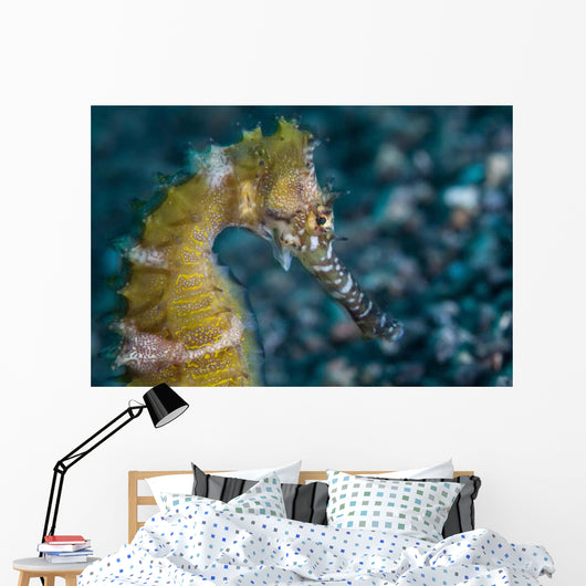 Thorny Seahorse Seafloor Lembeh Wall Decal Design 2