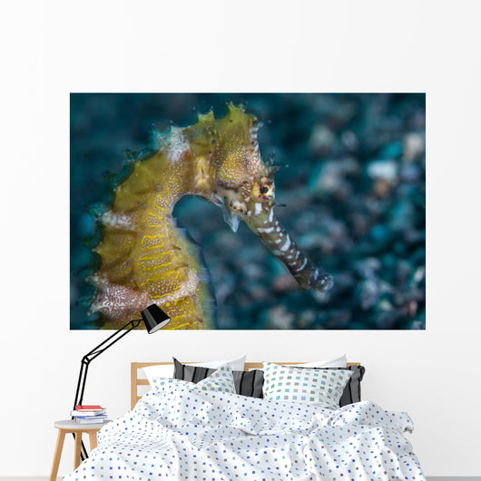 Thorny Seahorse Seafloor Lembeh Wall Decal Design 2