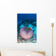 Pink Anemonefish Swim to Wall Decal Design 2