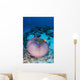 Pink Anemonefish Swim to Wall Decal Design 2