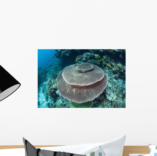 Large Table Coral Grows Wall Decal Design 1