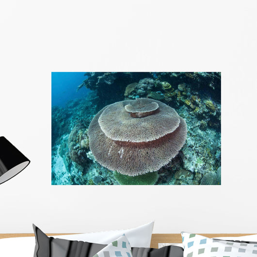 Large Table Coral Grows Wall Decal Design 1