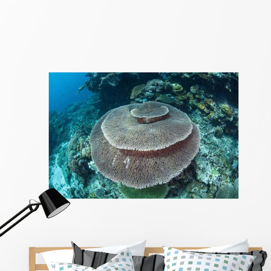 Large Table Coral Grows Wall Decal Design 1