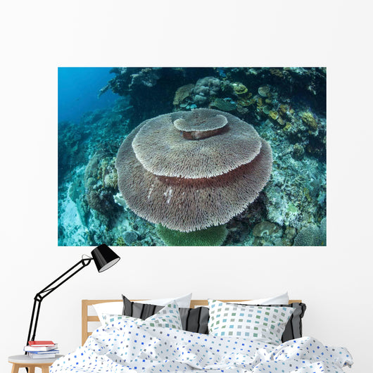 Large Table Coral Grows Wall Decal Design 1