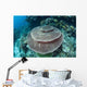 Large Table Coral Grows Wall Decal Design 1