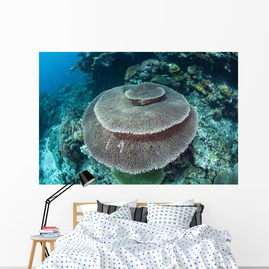 Large Table Coral Grows Wall Decal Design 1