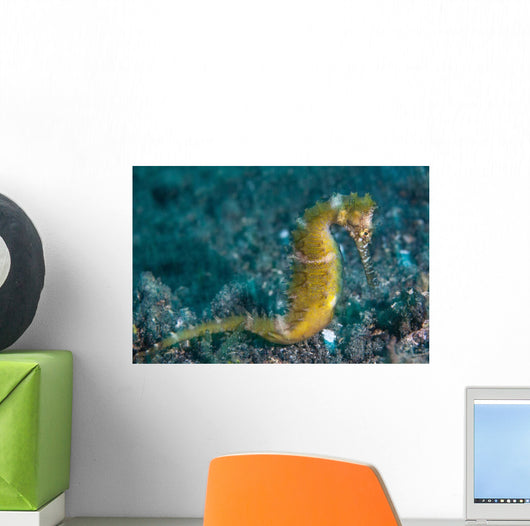 Thorny Seahorse Seafloor Lembeh Wall Decal Design 1