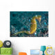 Thorny Seahorse Seafloor Lembeh Wall Decal Design 1
