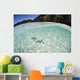 Pair Blue Starfish Seafloor Wall Decal